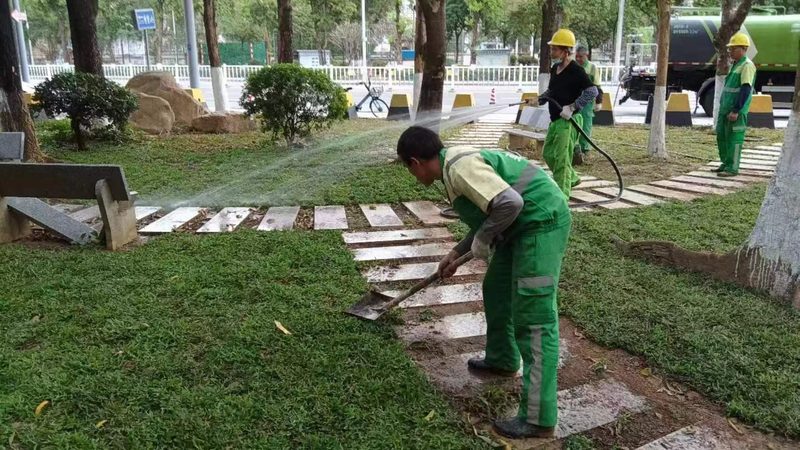 机关单位绿化报价清单：揭秘报价背后的关键因素**