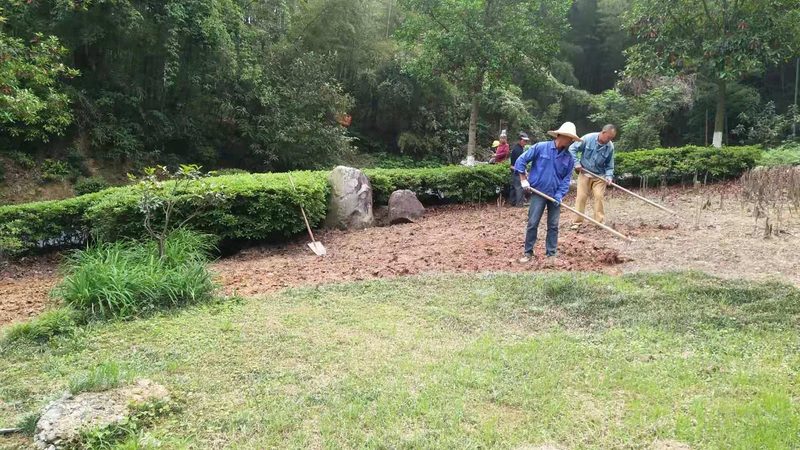 住宅小区绿化设计：规范要求与实施要点**