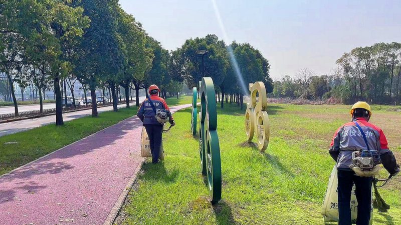私人别墅庭院园林绿化：报价清单背后的考量**