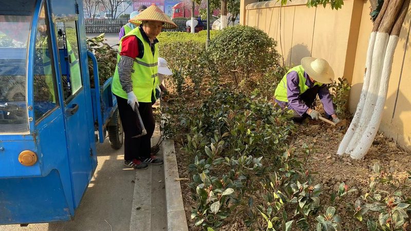 别墅花园设计公司服务流程揭秘：从规划到成型的秘密