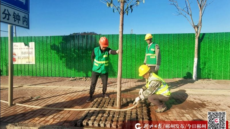 矿山边坡绿化定制设计：如何打造生态修复的绿色屏障**