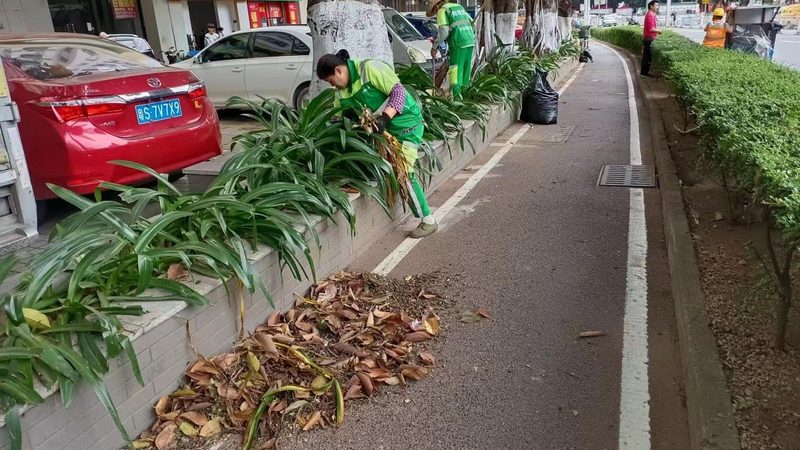 商场绿植租摆：从选品到维护的完整流程**
