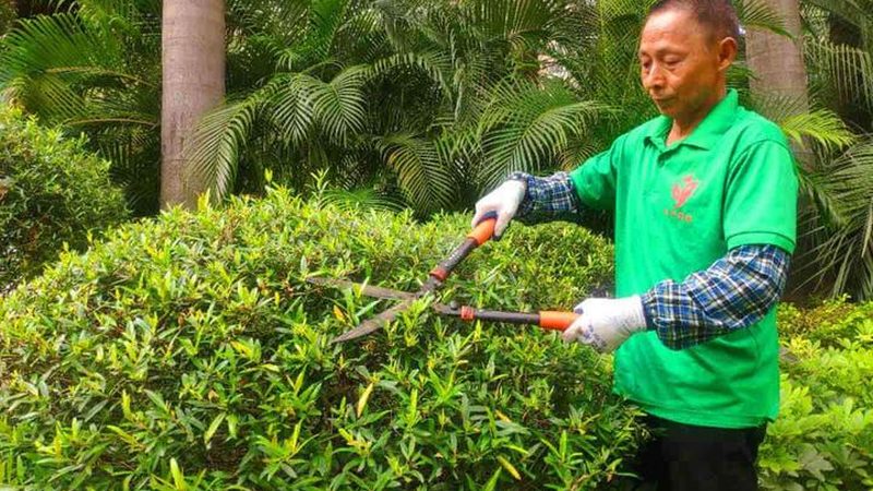 别墅庭院园林景观设计效果图怎么做：专业解析与关键步骤