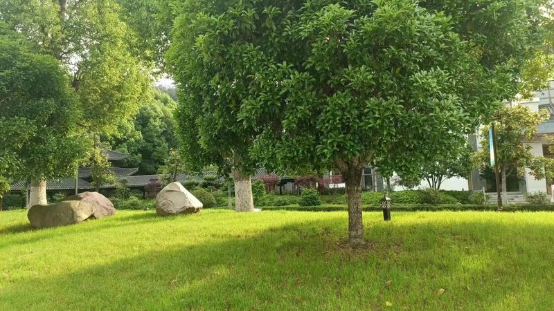 厂区绿化工程招标报价，如何精准把握？**