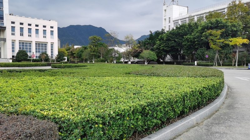 立体绿化系统：构建绿色建筑的秘密武器**