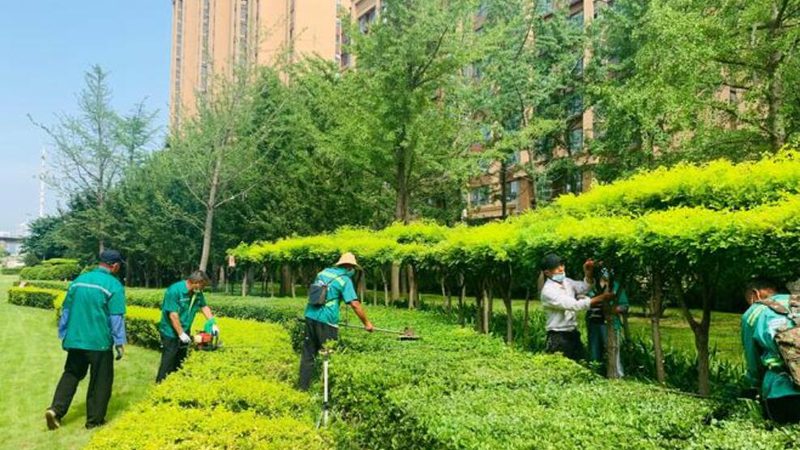 边坡防护三维网：揭秘其规格型号与关键特性**